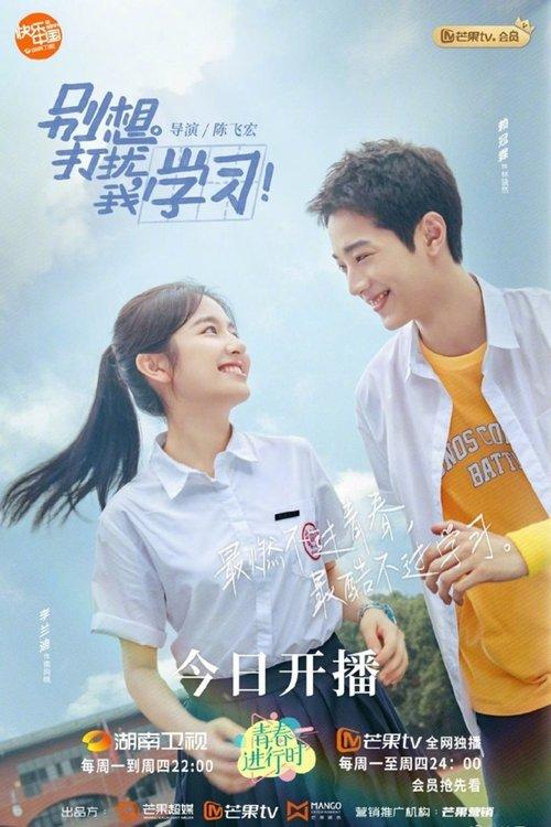 Poster for Don't Disturb My Study