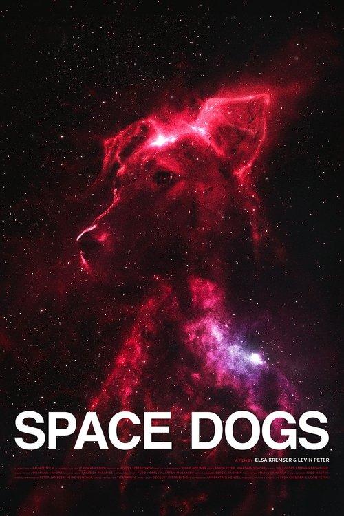 Poster for Space Dogs
