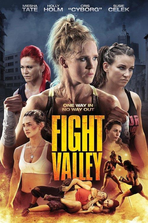 Poster for Fight Valley