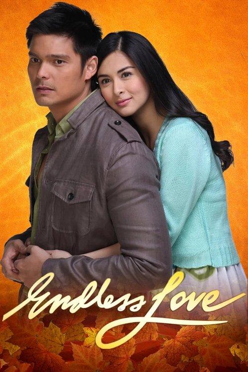 Poster for Endless Love