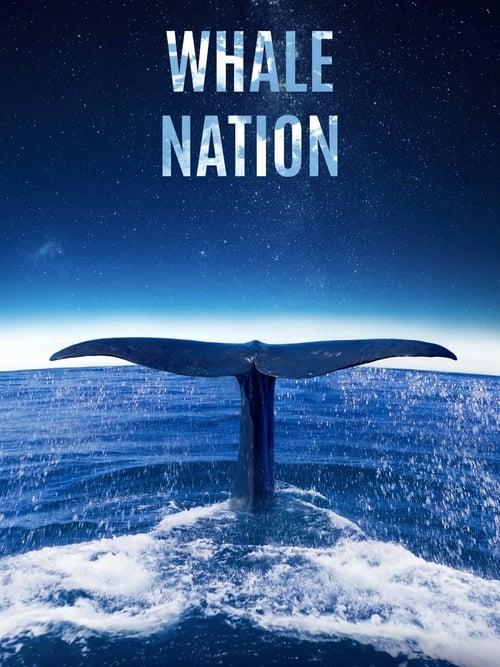 Poster for Whale Nation